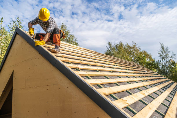 Best Roof Gutter Cleaning  in Markesan, WI